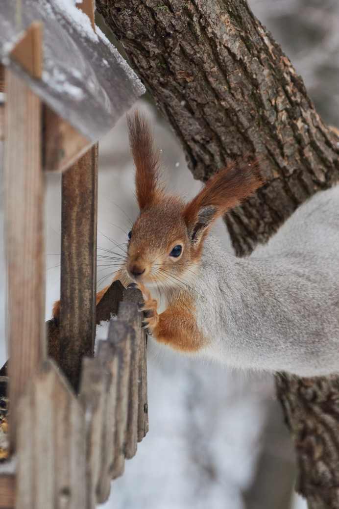 DSC_0273_1769969788_fe0f5d0389.jpg