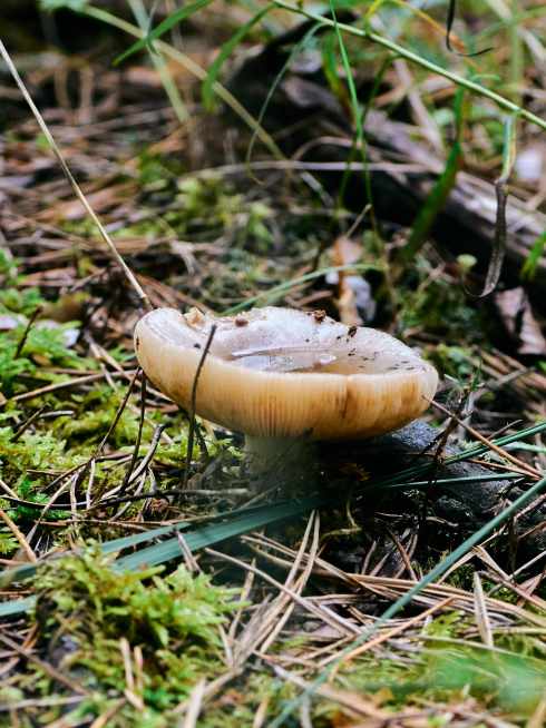 DSC_0275_1755500829_5aa7d3e99a.jpg