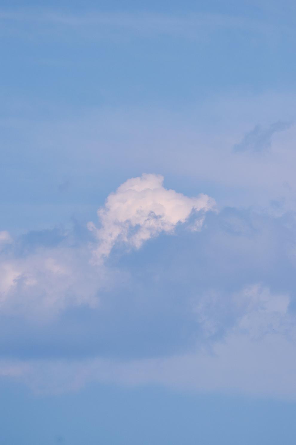 DSC_0276_1753450658_9b1f4572d2.jpg