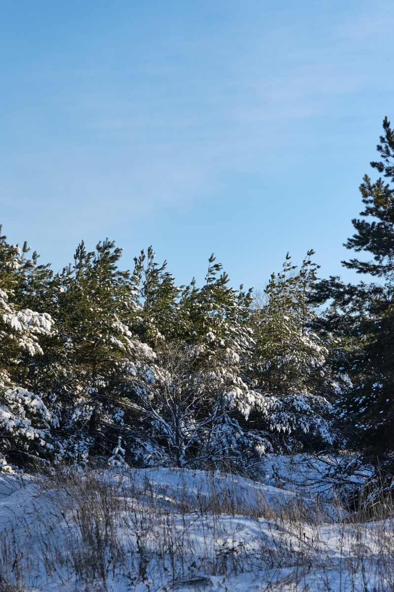 DSC_0276_1766654942_c9745d5079.jpg