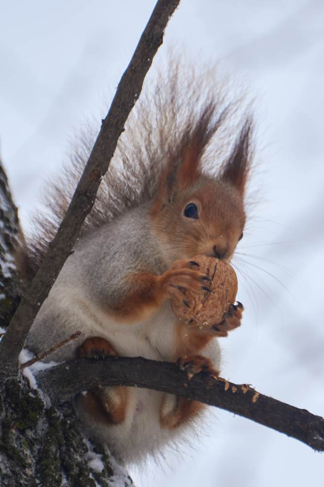 DSC_0340_1769970007_186f83e315.jpg