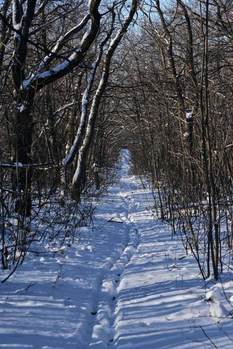 DSC_0341_1766655984_b62247e7cb.jpg