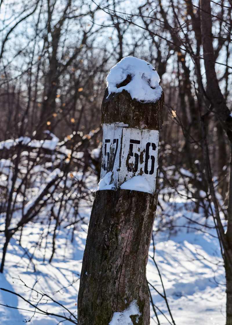 DSC_0343_1766656003_e90174a707.jpg