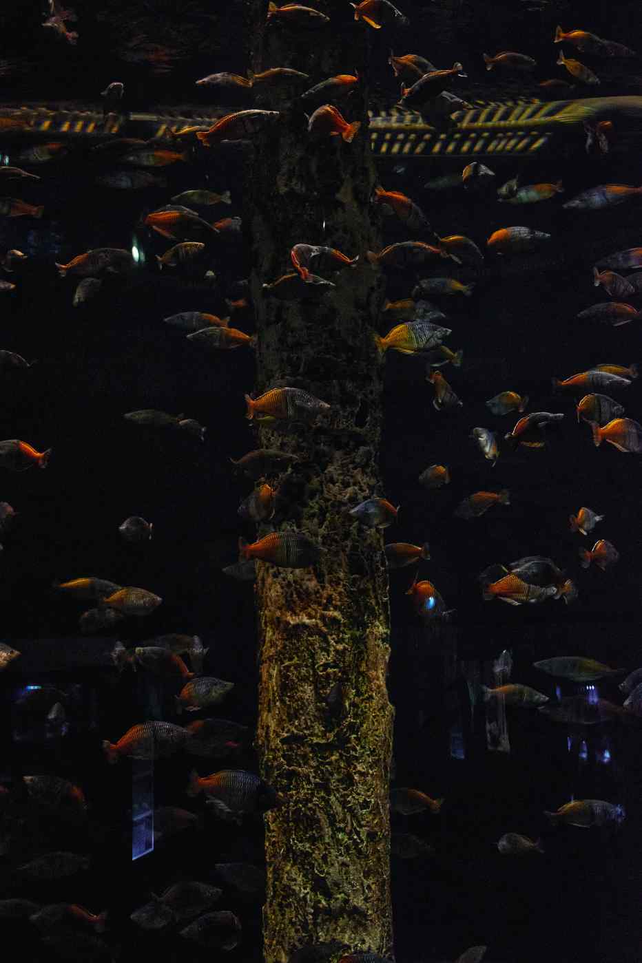 DSC_0362_1755603227_5279c24755.jpg