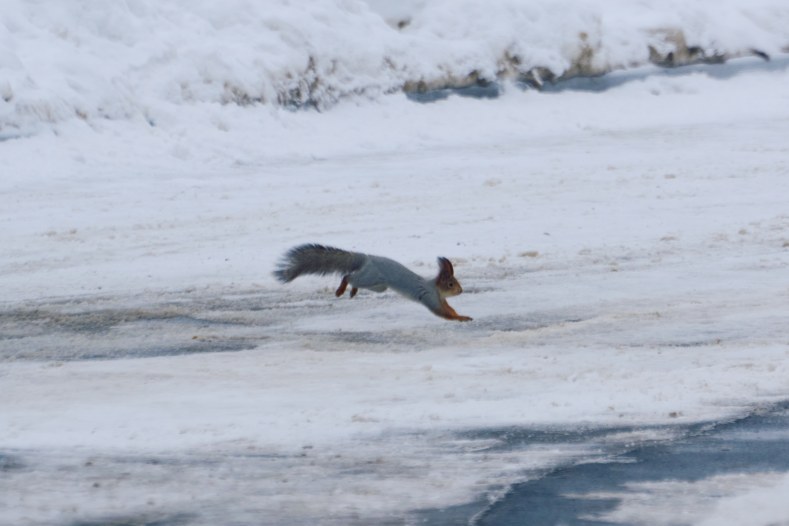 DSC_0394_1769970197_66611c31ab.jpg