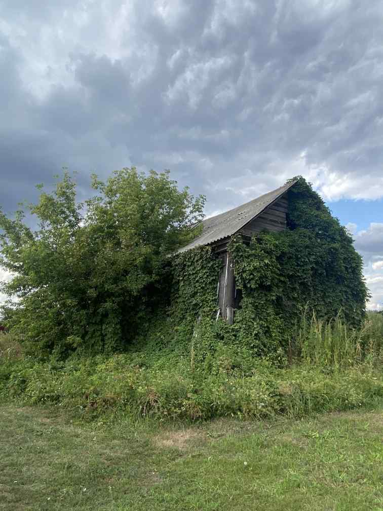 Фото пользователя
