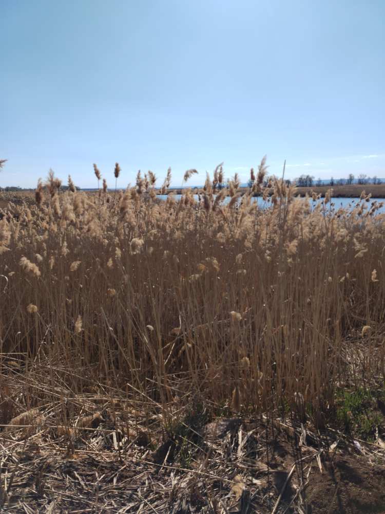 Фото пользователя
