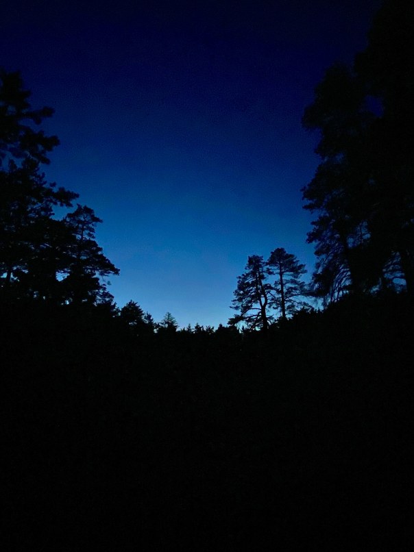 Фото пользователя