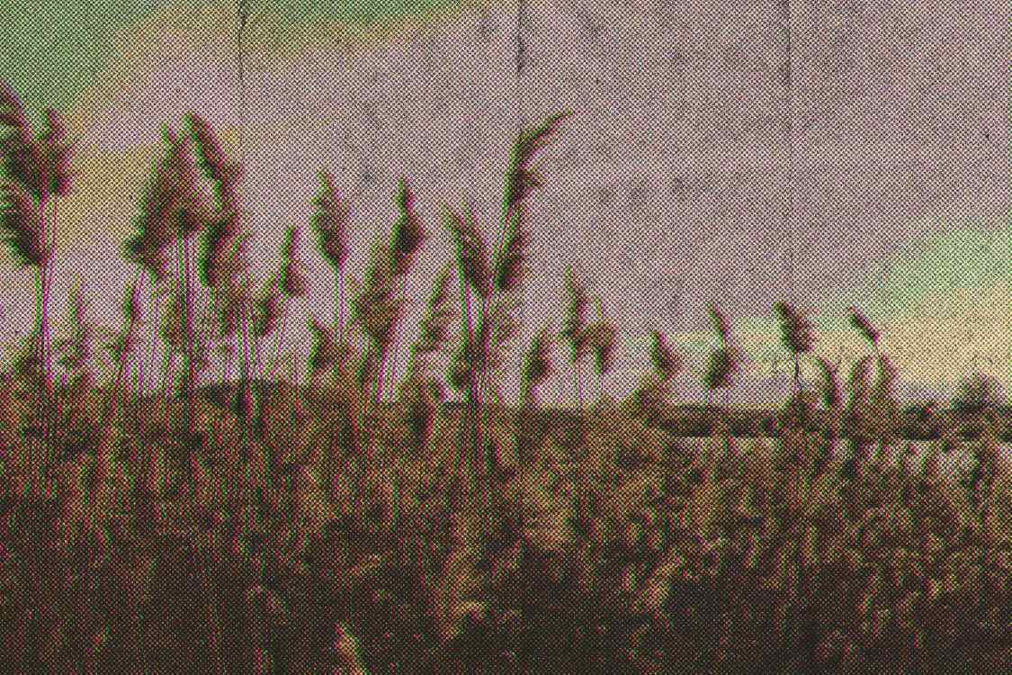colorful_vibe_4_1749626699_01232591f2.jpg
