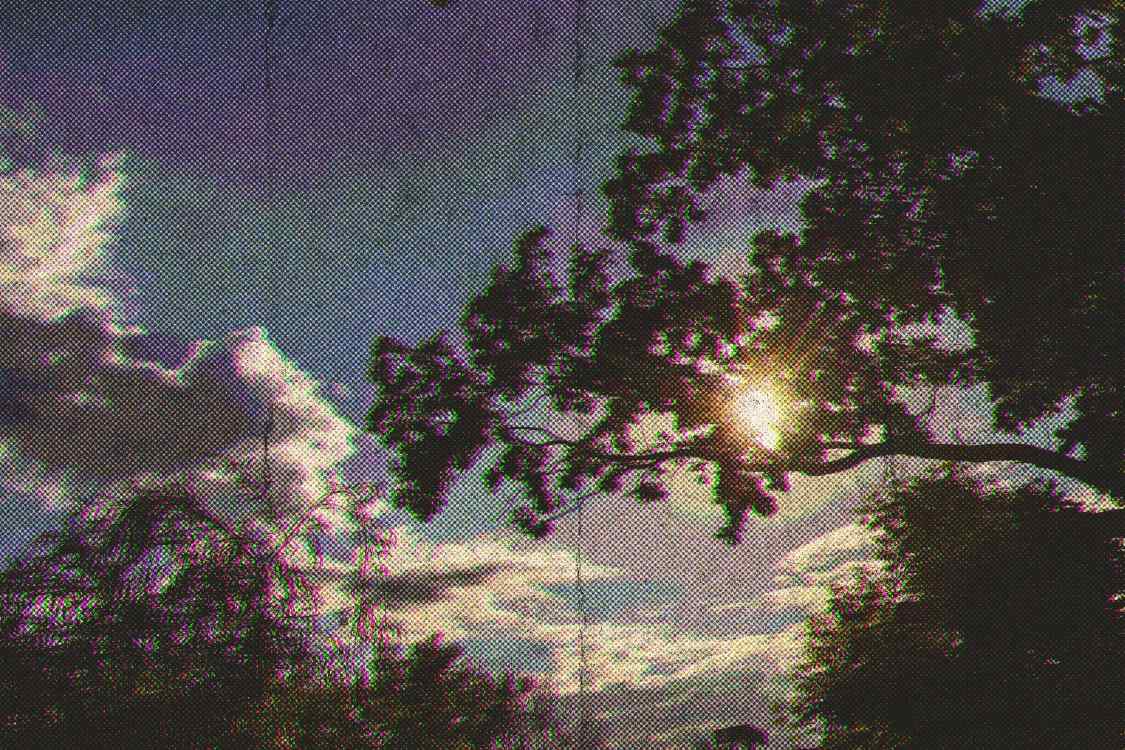 colorful_vibe_8_1749626707_0b8ec46e3d.jpg